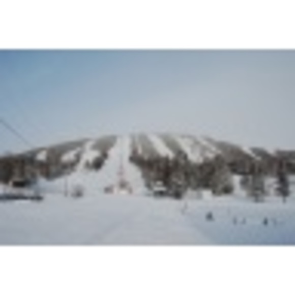 Meet your Posher, Melissa - Picture 1 of 1